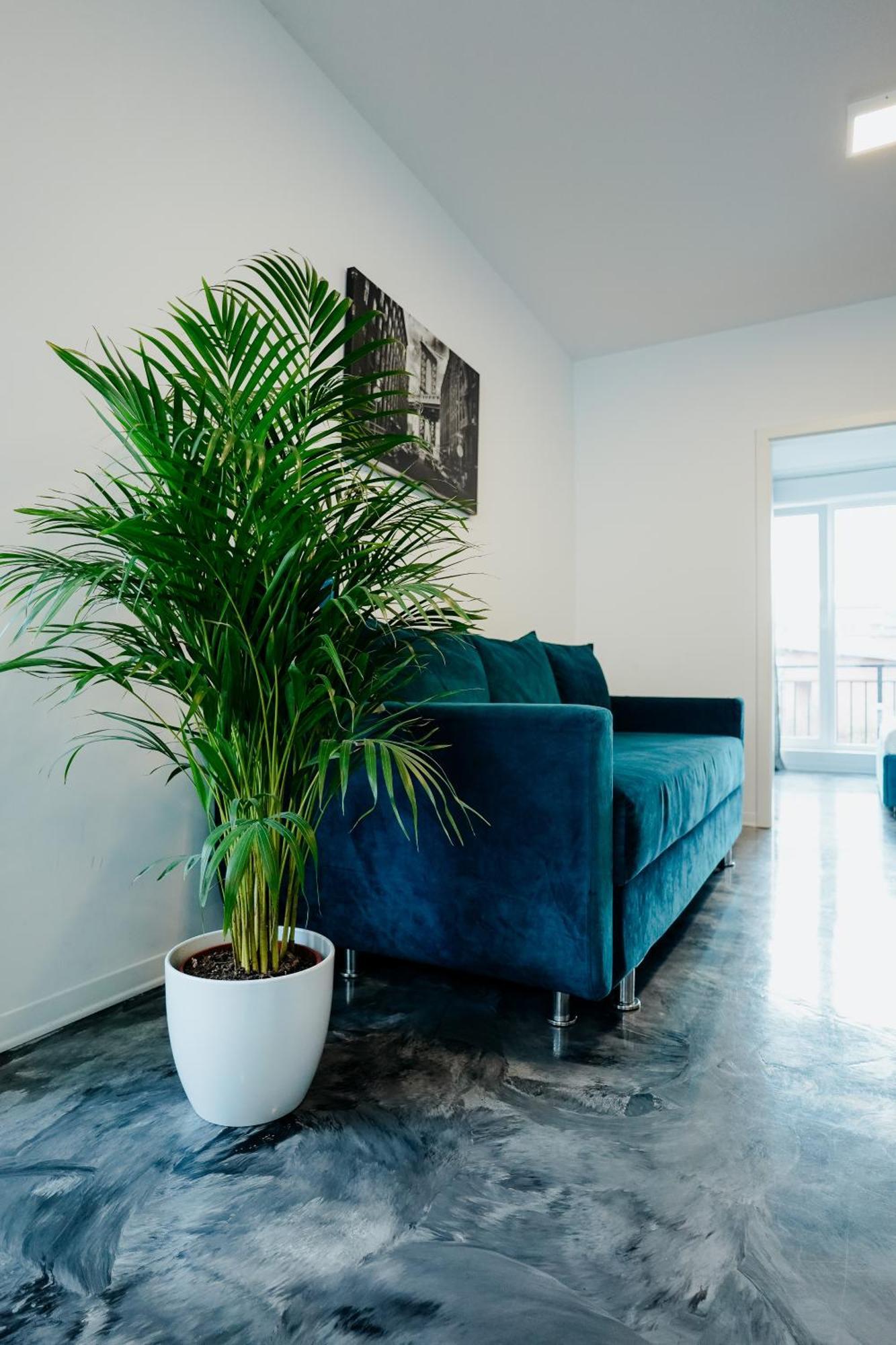 Andrew Apartaments Kluż-Napoka Zewnętrze zdjęcie